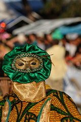 Beau regard de touloulou à la parade du littoral en Guyane française