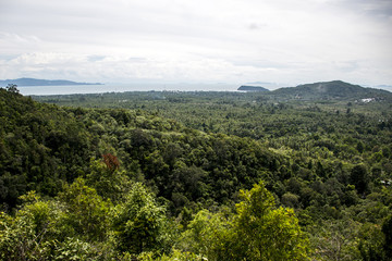 View coastline tropical rain forest Domesila viewpoint Koh Phangan Thailand