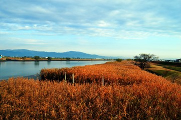 筑後川河川敷/福岡県久留米市