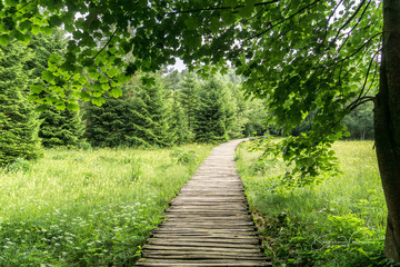 Wooden pathways lead visitors through forests and over lakes at Plitvice Lakes National Park in Croatia. This is one of the first wooden walkways when you get off the train at the upper lakes leading 
