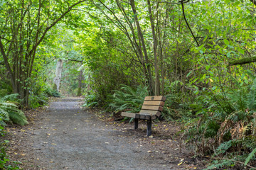 Park bench along a foot trail in the morning sun