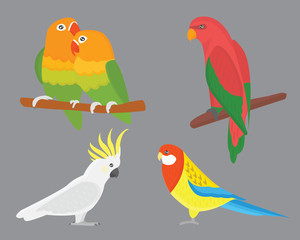 Cartoon tropical parrot wild animal bird vector illustration.