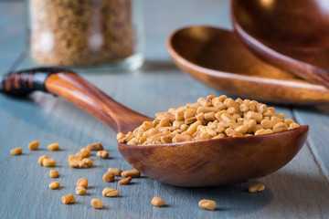 Fenugreek on a Wood Spoon