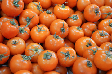 Pictures of organic tomatoes in grocery and grocery sale sections
