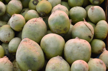 Organic and healthy radish and turnip pictures on greengrocery


