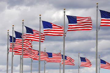 USA flags in a row waving in the wind