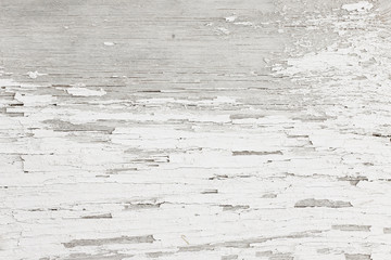 Grey-white wooden background of weathered distressed rustic wood with faded white paint