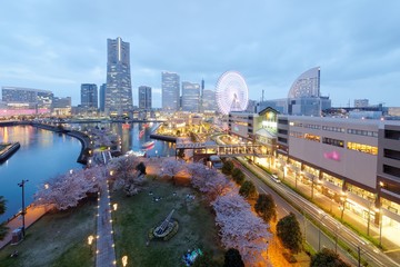 Fototapeta premium Nocna sceneria Yokohama Minatomirai Bay Area z widokiem na wieżowce w tle, gigantyczny diabelski młyn w parku rozrywki i piękne kwiaty sakury przy promenadzie Bashamichi