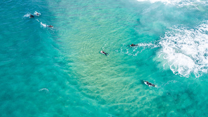 Fototapeta na wymiar Surfing in Laguna Beach 