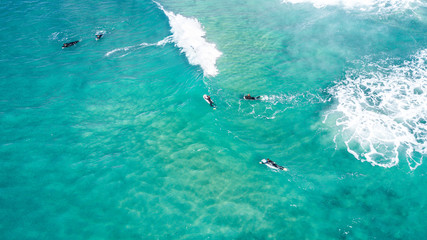 Surfing in Laguna Beach 