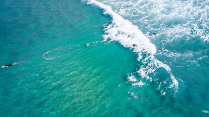 Obraz premium Surfing in Laguna Beach 
