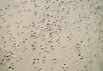 Human footprints in dry sand closeup