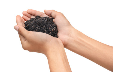 Hand holding dirty soil on white bg