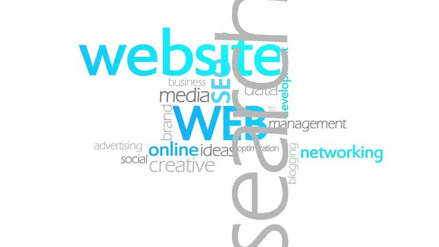 Web, Website