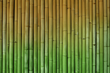 Naklejki  bambusowe ogrodzenie tło półtonowe zielone i żółte
