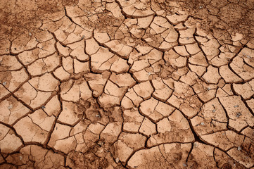 cracked earth background