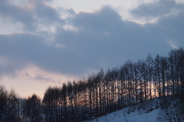 北海道