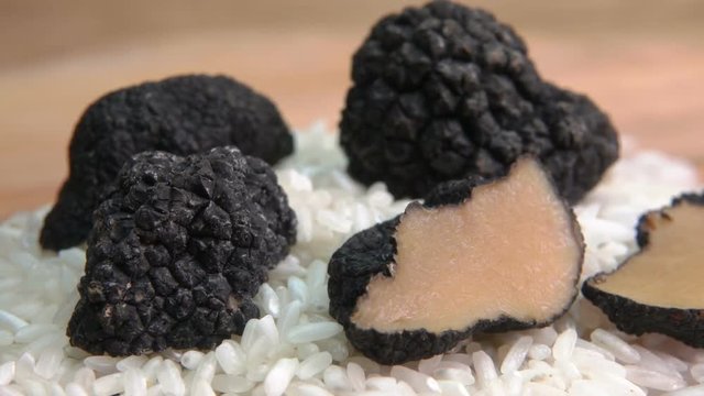 Close-up of piece of black truffle tuber lies on rice