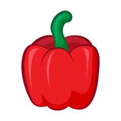 bell pepper isolated illustration on white backbround