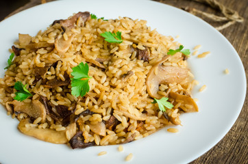 Homemade traditional Italian mushroom risotto