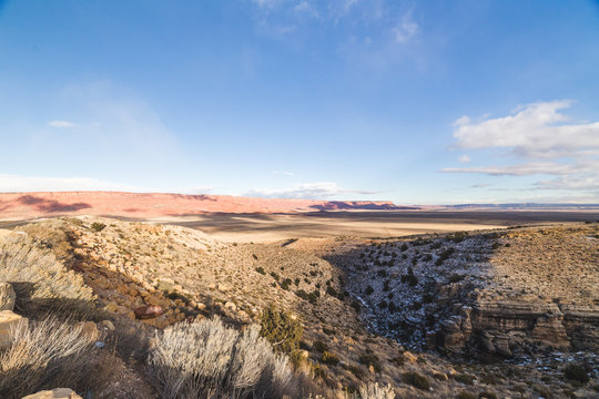 Arizona winter landscape