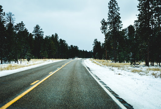 Highway with snow and pine trees