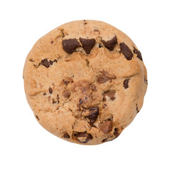 Chocolate chip cookie