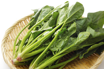 ほうれん草　Spinach © Nishihama