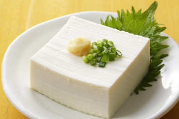 豆腐　Japanese tofu