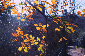 Autunno/Inverno