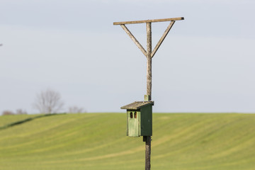 Vogelhaus mit Ansitzstange für Greifvögel