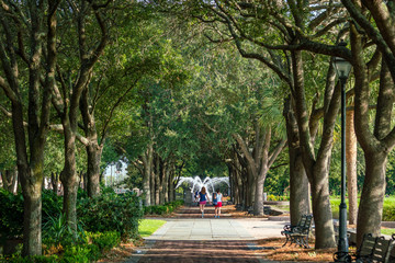 The Waterfront Park in Charleston
