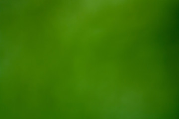 Blurred Background in Green color