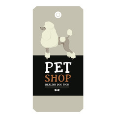 Poster Pet Shop Design label Vector Illustration Poodle