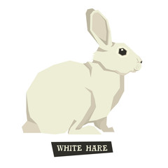 Wild animals collection White hare Geometric style