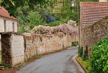 Auvers sur Oise