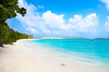 Maldives island sandy beach
