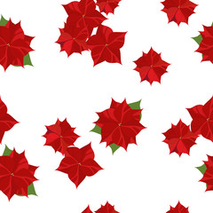 Seamless pattern with poinsettia
