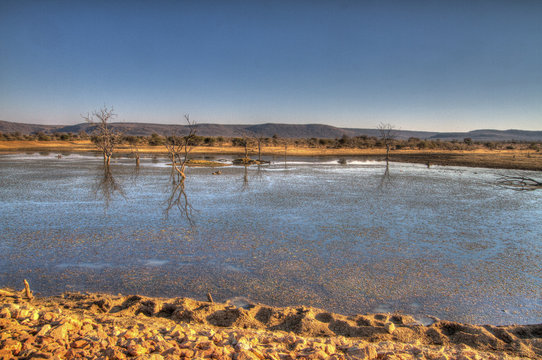 Water Hole, Madikwe