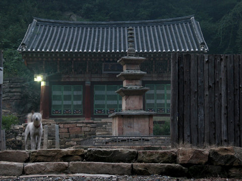 어둠이 깔리는 외로운 산사 