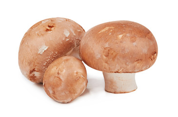 Brown mushrooms isolated