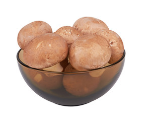 Brown mushrooms isolated