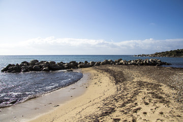 Quartu: panoramica della spiaggia di Is Mortorius - Sardegna
