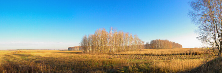 Fototapeta na wymiar panoramic view of the agricultural land in early spring