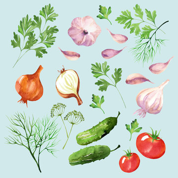 Food design set with tomatoes, cucumbers onions, dill, parsley, and garlic watercolor. Vegetable background in hand drawn style. Isolated on blue background. 