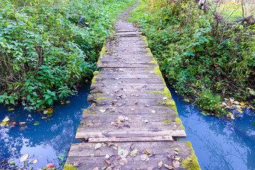 The bridge through a stream in the wood