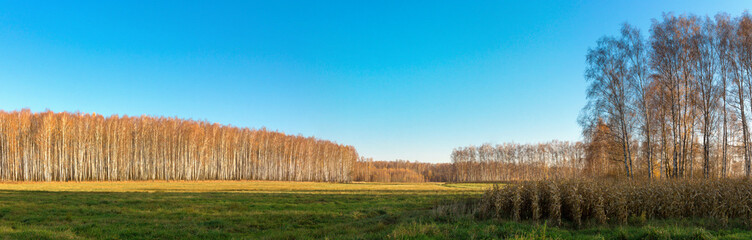 Obraz premium panoramic view of the agricultural land in early spring