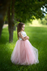 Fototapeta premium girl in a beautiful dress