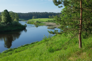 Fototapeta na wymiar Summer landscape with a river on a sunny morning. Ugra River in the Smolensk region