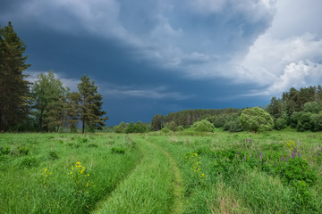 Summer landscape with the impending storm clouds and a dirt road in the woods